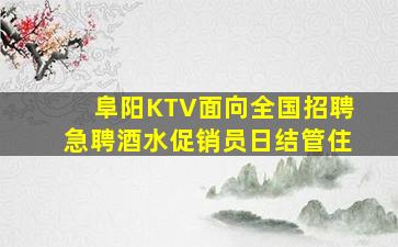 阜阳KTV面向全国招聘急聘酒水促销员日结管住